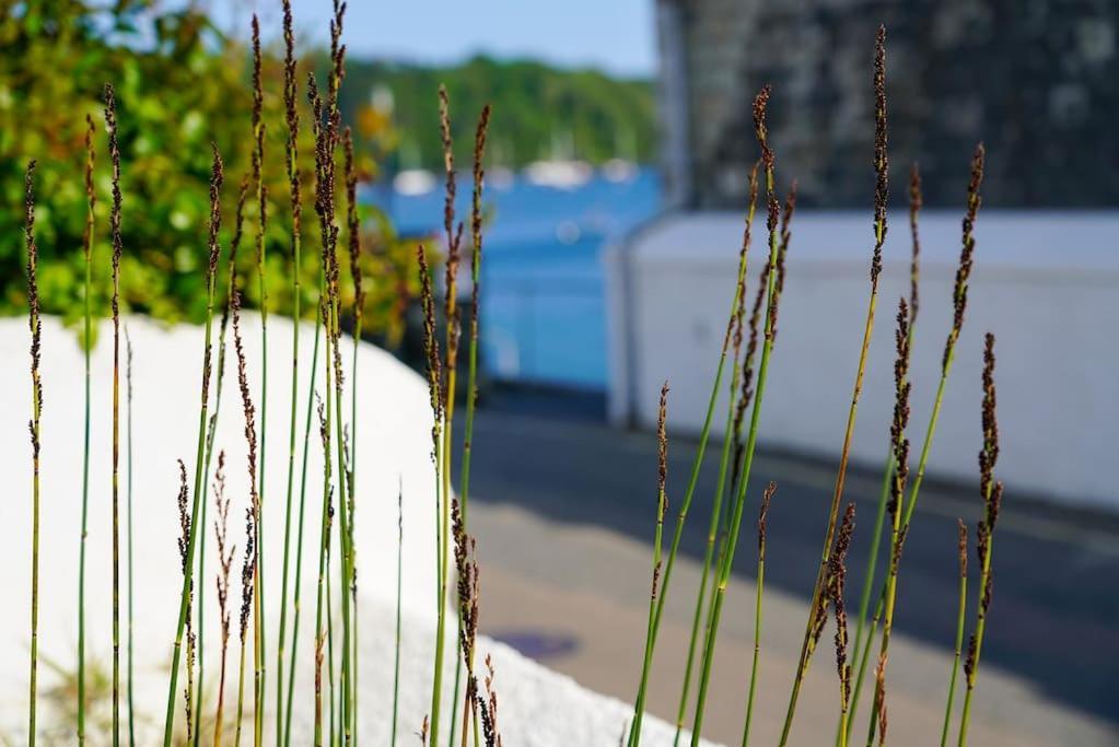 Luxury By The Harbour In Holiday home
